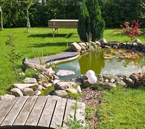 Petit bassin d'ornement  Bassin de jardin préformé, Petit bassin de  jardin, Bassin de jardin